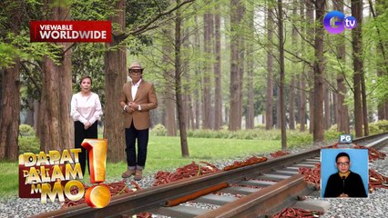 Millipedes o singsing pari, nagdulot ng aksidente ng tren sa Australia | Dapat Alam Mo!