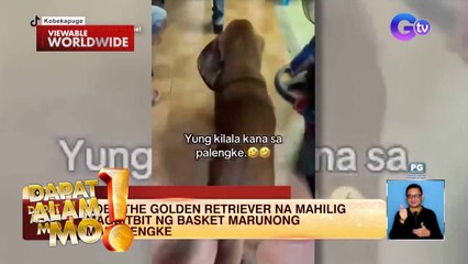 Aso, mahilig magbitbit ng basket at mamalengke?! | Dapat Alam Mo!