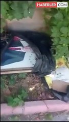 Cumhurbaşkanı Erdoğan'ın fotoğrafının çöpe atılmasının ardından soruşturma başlatıldı