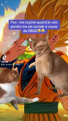 Ma vie quand j’aurai touché à Sparking Zéro 