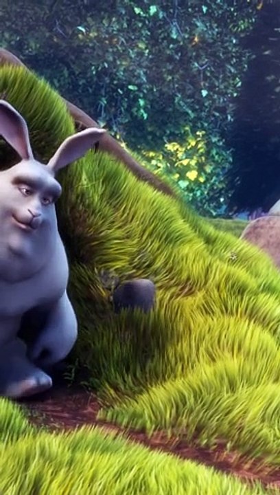 31. Portrait Content - Portrait ads (Midroll 10s - then each 20 sec)