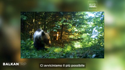 I gioielli naturali della Serbia occidentale: il selvaggio monte Tara e l'entusiasmante fiume Drina