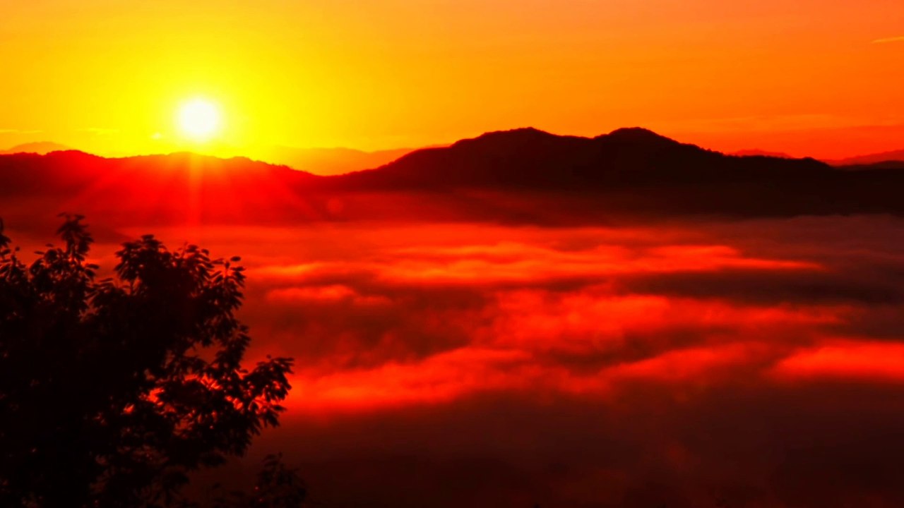 Âm nhạc thư giãn trị liệu với cảnh đẹp nhân gian - Âm thanh ngày mới