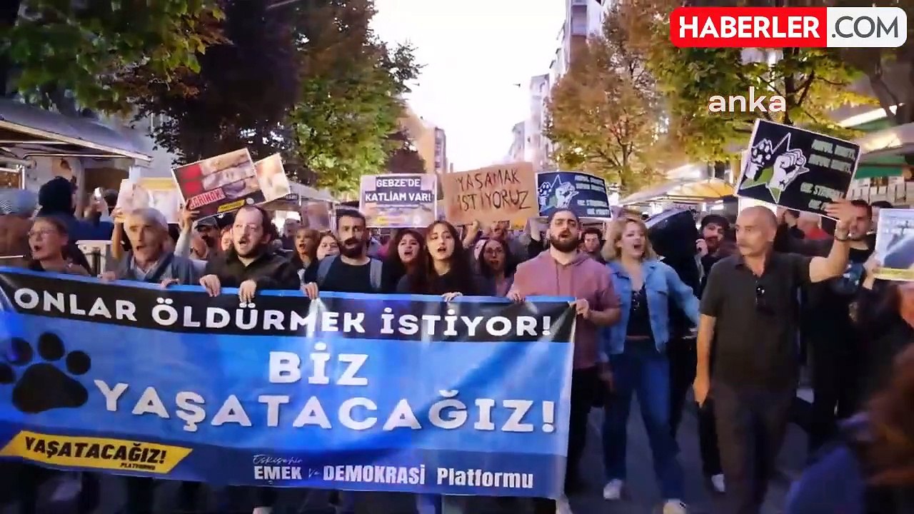 Gebze'de Yaşanan Hayvan Katliamı Eskişehir'de Protesto Edildi: "Hayvan Dostlarımızı Yaşatacağız"