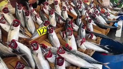 Balıkçı tezgahlarında fiyat artışı sürüyor! İşte en pahalı balık