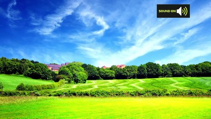 Sunday afternoon forecast 29/08/21