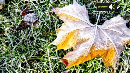 Monday morning forecast 22/11/21