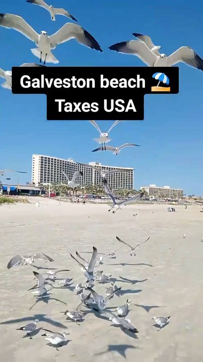 Galveston City ️ Beach ️ of Taxas USA