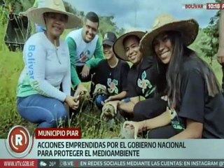 Más de 6 mil ejemplares de morrocoyes fueron liberados en el mcpio. Piar del estado Bolívar