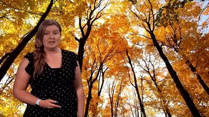 Thursday evening forecast 05/10/23