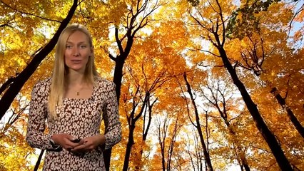 Thursday evening forecast 23/11/23