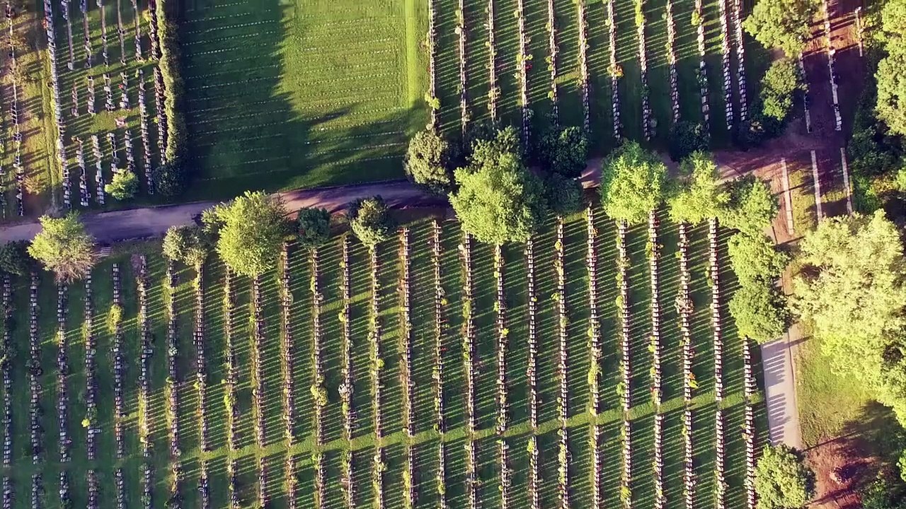 No one can know - Marcelo Gil Machado