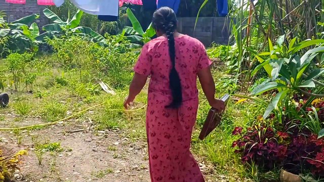 New construction || पुन्हा नवीन बांधकाम सुरू|| घराचे आणि गार्डनच नवीन प्लॅनिंग व्हिडिओ पूर्ण पहा