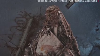 Download Video: Impresionantes imágenes revelan misterios del barco perdido de Shackleton en las heladas aguas de la Antártida