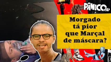 APAGÃO EM SP PARECE DESMATAMENTO E VAI DERRUBAR MARINA SILVA (ALBA)?