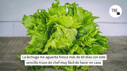 Video herunterladen: La lechuga me aguanta fresca más de 60 días con este sencillo truco de chef muy fácil de hacer en casa