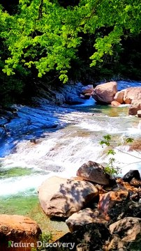 Nature Sounds ♬♬ with water sounds || Nature Discovers.......#shorts #naturesounds #natureshorts