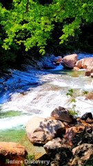 Nature Sounds ♬♬ with water sounds || Nature Discovers.......#shorts #naturesounds #natureshorts