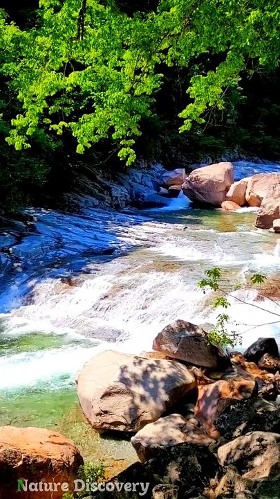 Nature Sounds ♬♬ with water sounds || Nature Discovers.......#shorts #naturesounds #natureshorts