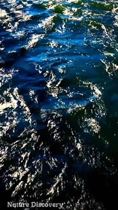 Nature Sounds ♬♬ with water sounds || Nature Discovers.......#shorts #naturesounds #natureshorts