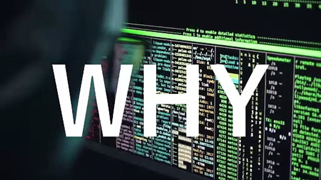 Stop the War - Chaoskasi