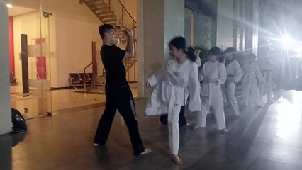 Taekwondo, tkd 20241014_191018