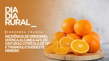 Incidência de Greening: doença alcança 44% do cinturão citrícola de SP e Triângulo sudoeste mineiro