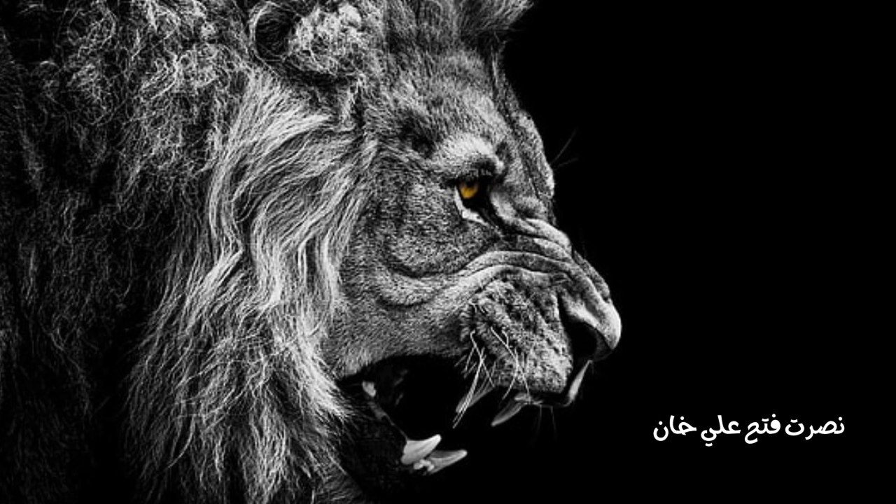 Shah e Mardan E Ali | Ali Mola Ali | NFAK | Mola Ali Kalam | Slowed + Reverb I 8D Audio.