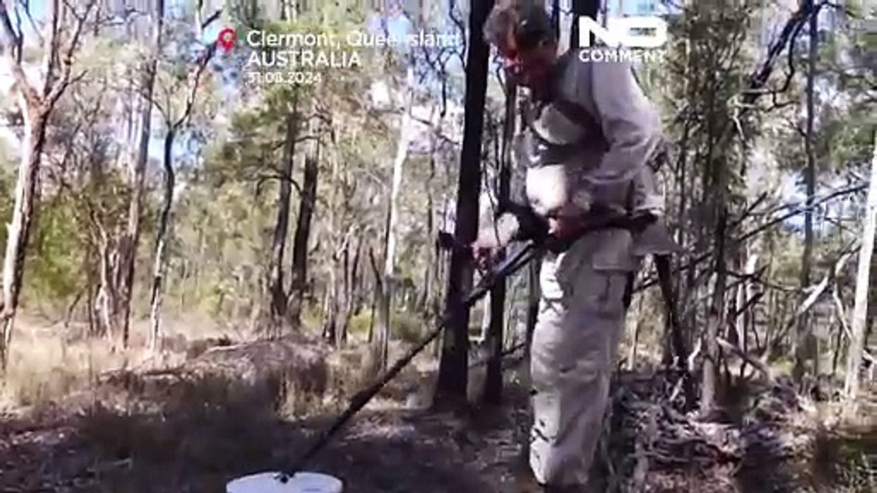 No comment: der goldrausch in australien