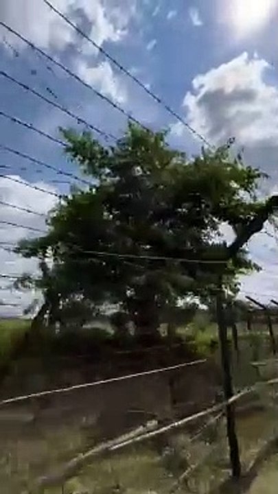 Bangladesh indian imaging border