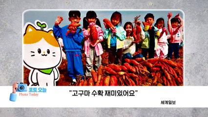 고구마 수확의 즐거움, 가을 농촌 풍경 🌾