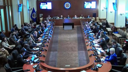 Reprezantan pèmanan a.i Ayiti nan OEA Gandy Thomas denonse diskriminasyon afwo desandan yo ap sibi.