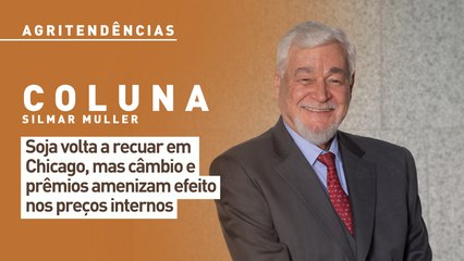Soja volta a recuar em Chicago, mas câmbio e prêmios amenizam efeito nos preços internos
