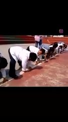 He still lost after cheating