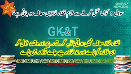 Islamic Riddles & Tech Insights: The Ultimate Knowledge System 2024 (Urdu-Hindi)