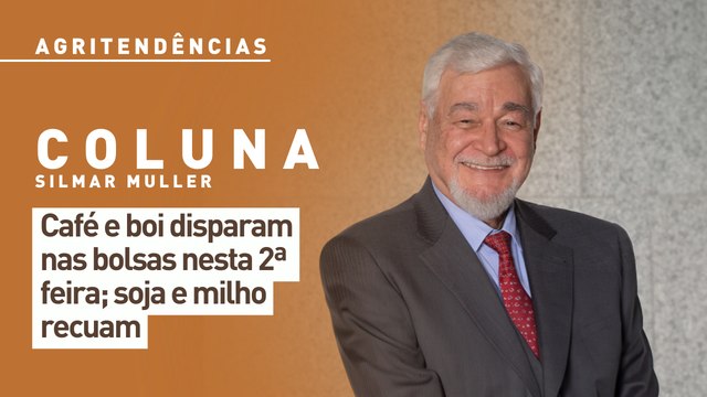 Café e boi disparam nas bolsas nesta 2ª feira; soja e milho recuam