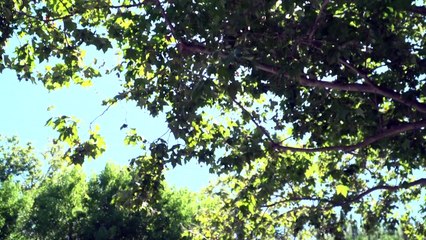 Google e startup Kairos assinam acordo de energia nuclear