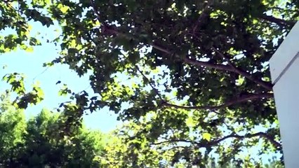 Google firma un acuerdo de energía nuclear con la startup Kairos