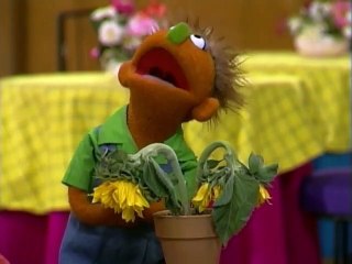 Plaza Sésamo: El Sol