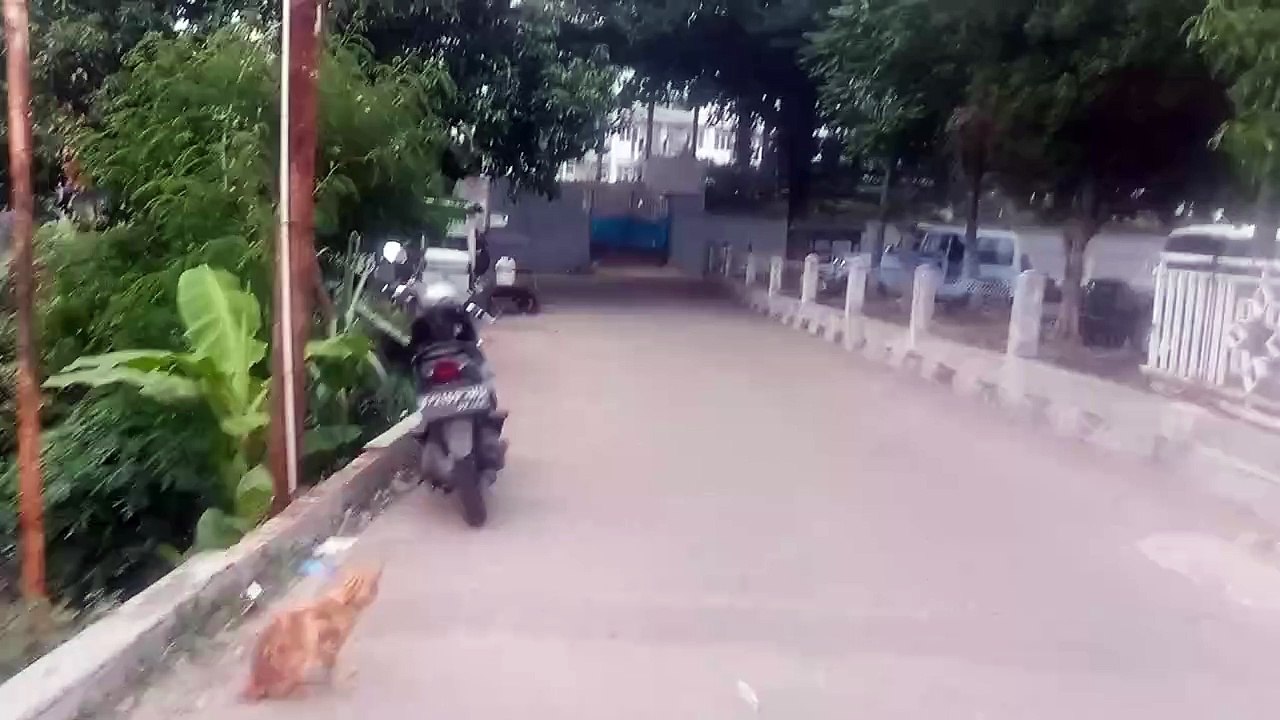 VID_20241013_172137