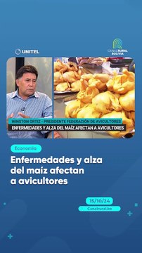 Enfermedades y alza del maíz afectan a avicultores