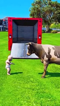 Black Spider Steals Cow From Baby, Doctor Saves Day (GONE WRONG)