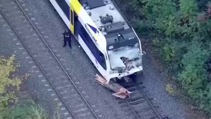 tn7-Nueva Jersey: Caída árbol provocó inusual accidente de tren que dejó un muerto y 23 heridos-141024