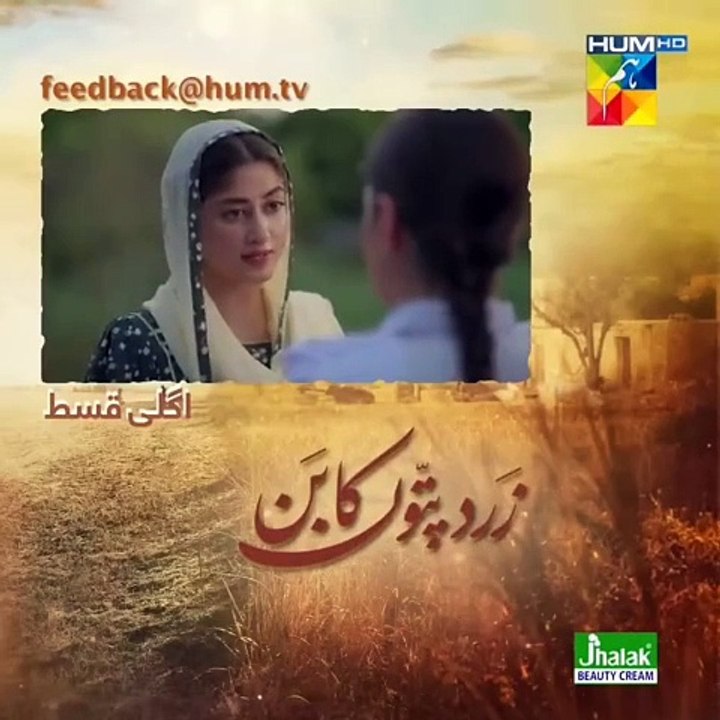 Zard Patton Ka Bunn Episode 24 | Zard Patton Ka Bunn  drama new episode