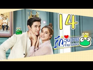 [Multi Sub] รักวุ่นวายเจ้าชายกบ EP14 王子变青蛙 Frog Prince 【泰语】