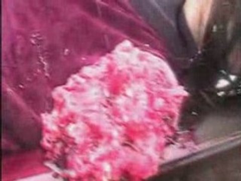 Ma femme tronc et moi intro