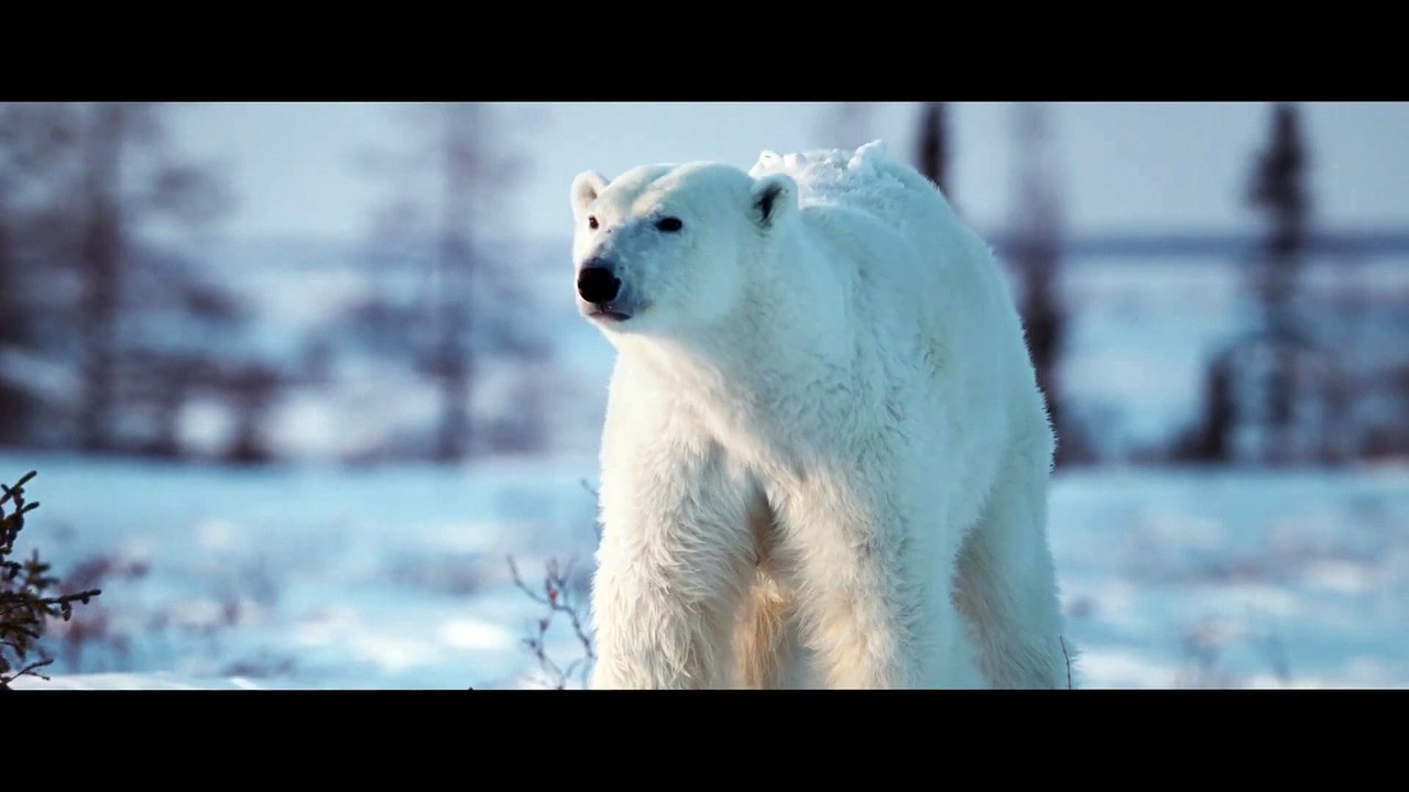 Die Abenteuer von Kina & Yuk Film