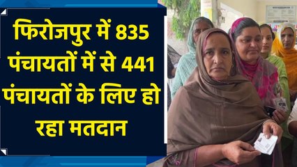 फिरोजपुर में 835 पंचायतों में से 441 पंचायतों के लिए हो रहा मतदान