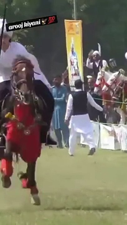 Horse lover's