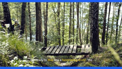 Script 2 Elementary School Level 1st-6th Grade